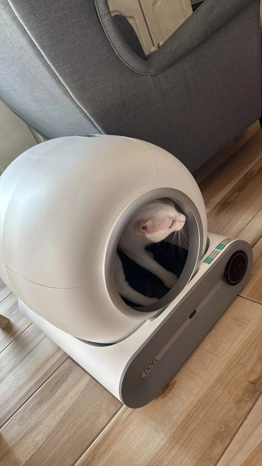 Comparing Robot-Kitty with Other Smart Litter Boxes on the Market