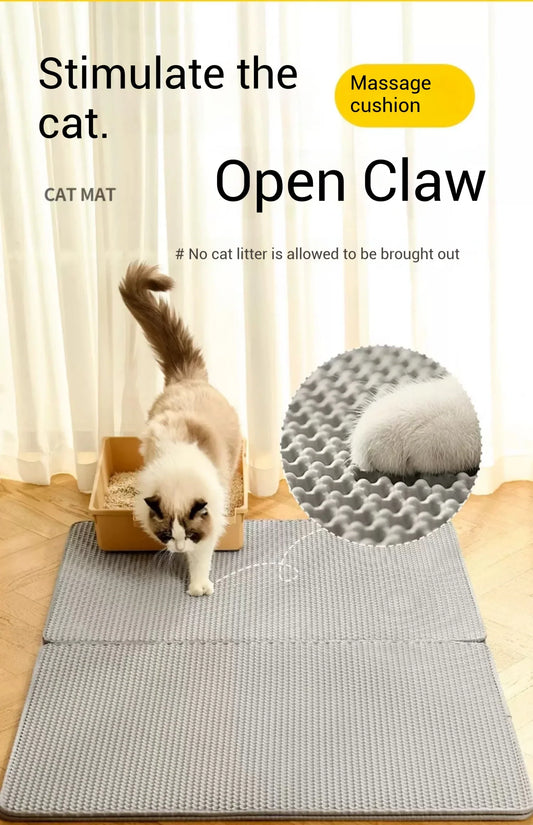 Customer Stories: How Robot-Kitty Improved Their Daily Cat Care Routine